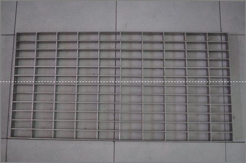 ����ָ�դ��